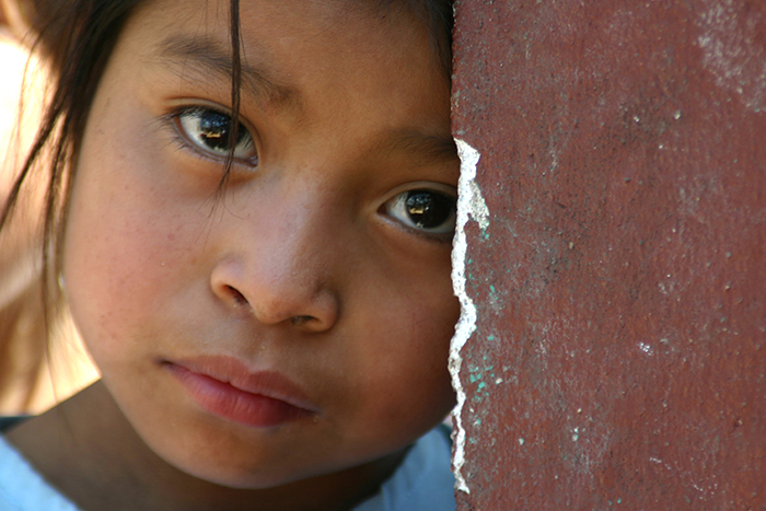 Photo 1 from The Advocates for Human Rights